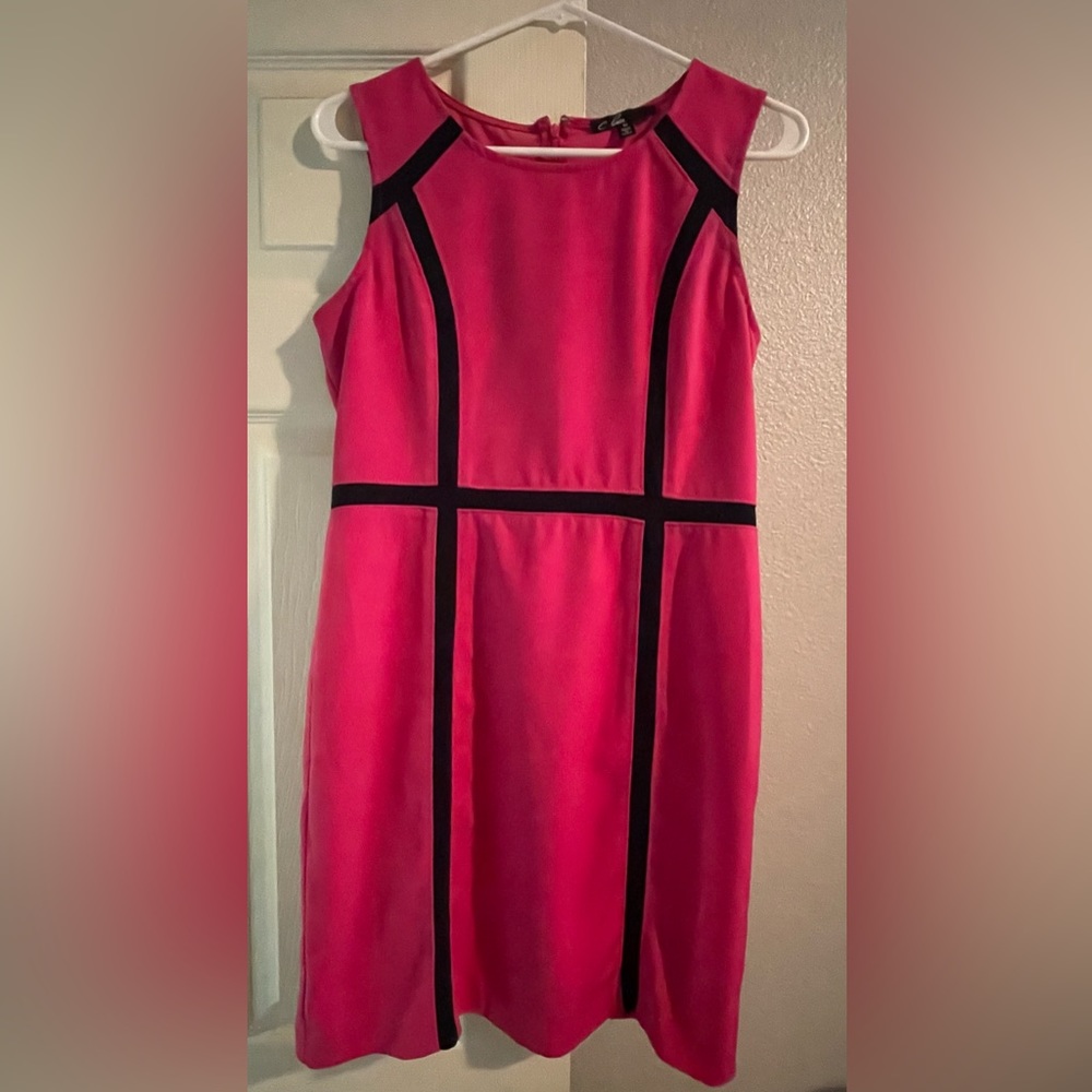 Pink and Black sheath dress